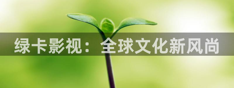 韩国电影金牌销售：绿卡影视：全球文化新风尚