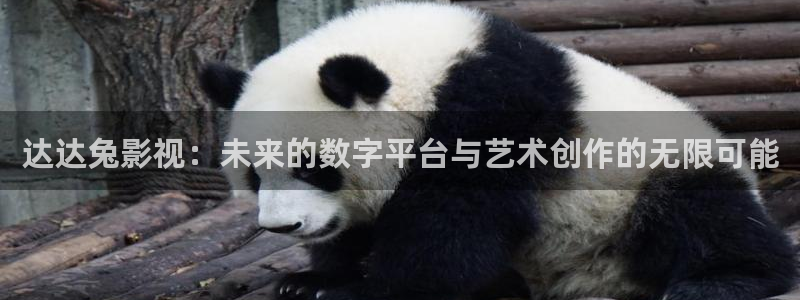 金牌影视官网首页