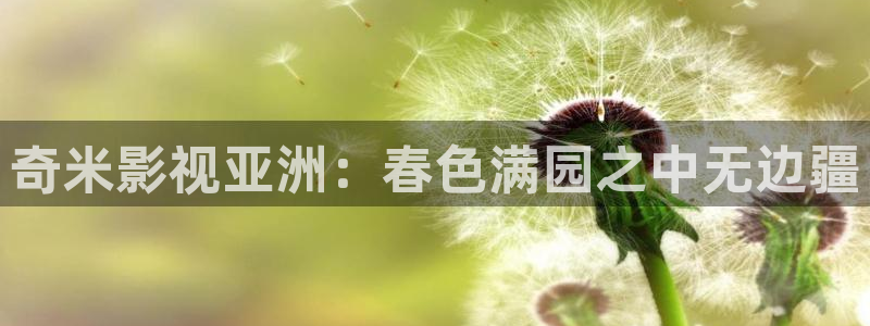 金牌影院最新电视剧免费